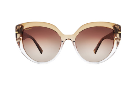 Очки Polar model Gold 147 col. 430