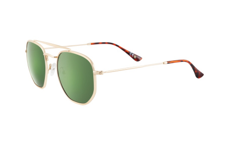 Солнцезащитные очки Polar model Dakota 2 col. 02/G  PDAK202G