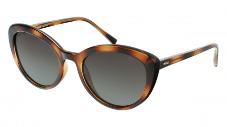 Oчки INVU s-B2109B