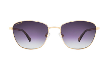 картинка Солнцезащитные очки Polar model Gold 305 col. 02/F — Мои Очки