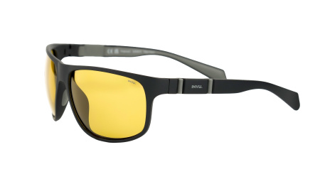 Солнцезащитные очки INVU A2308E с чехлом 20063