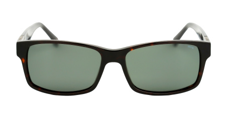 Солнцезащитные очки INVU IP22607B с чехлом 20201