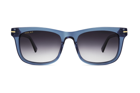 Oчки Polar model Gold 110 col. 27