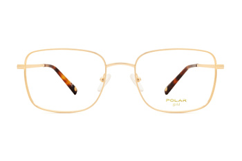 картинка Оправа для очков Polar model Gold 2006 col, 02 — Мои Очки
