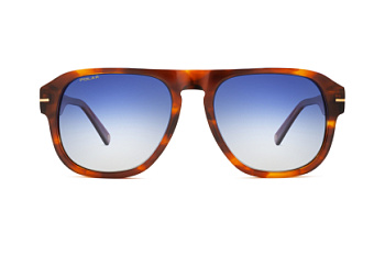 картинка Солнцезащитные очки Polar model Gold 197 col. 429/Q — Мои Очки