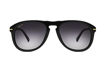 картинка Солнцезащитные очки Polar model Gold 101 col. 77/F — Мои Очки