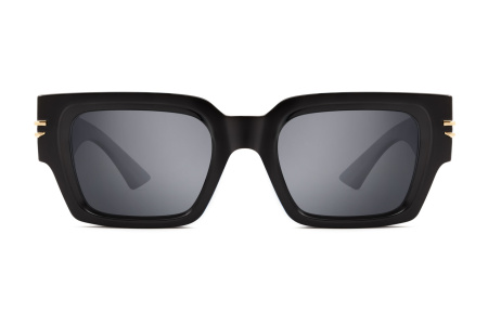 Очки Polar model PLR Giant col. 77 