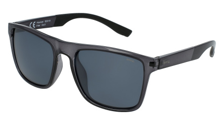 Oчки INVU s-B2014A