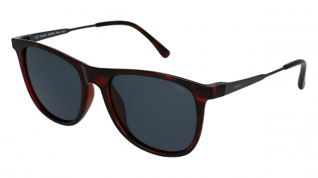 Oчки INVU s-B2020B