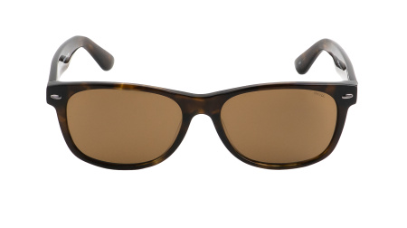 Солнцезащитные очки INVU P2301B с чехлом 20057