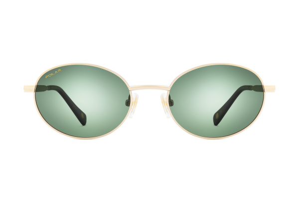 Солнцезащитные очки Polar  Gold Teseo col. 02/G PGTES02G