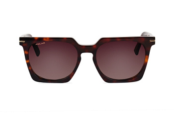 картинка Солнцезащитные очки Polar mod Gold Lyn col. 428 — Мои Очки