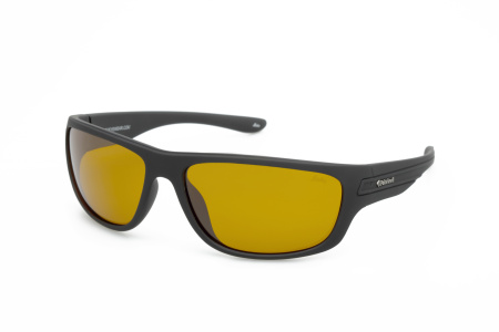 Oчки LETO s-L2050D