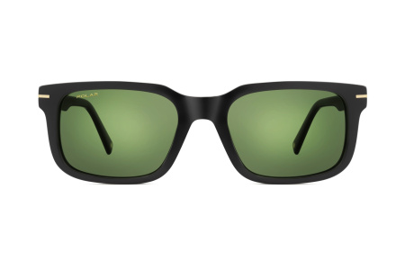 Oчки Polar model Gold 149 col. 77/G