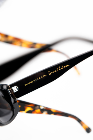 Солнцезащитные очки Polar model Gold Flow col. 477 PGOLDFLOW477