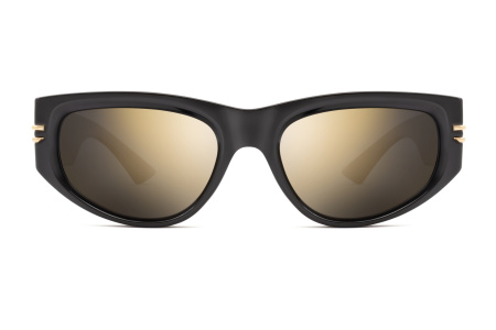 Очки Polar model PLR Bansky col. 77/GOLD 