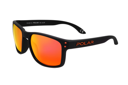 Очки Polar model 358 col.80/R