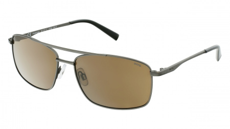 Oчки INVU s-B1107C