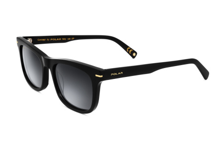 Oчки Polar model Gold 110 col. 77