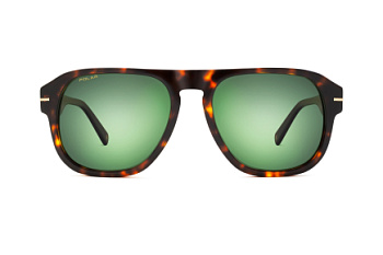 картинка Солнцезащитные очки Polar model Gold 197 col. 428 — Мои Очки