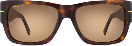 Очки Polar model Gold 166 col. 428