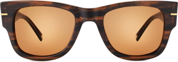 Солнцезащитные очки Polar model Gold 164 col. 429