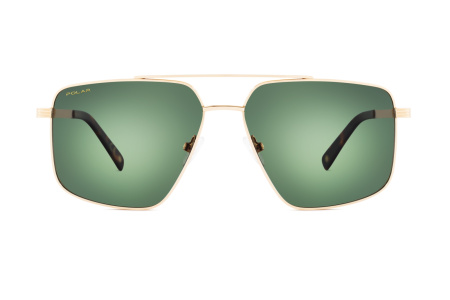 Очки Polar model Gold 300 col. 02/G