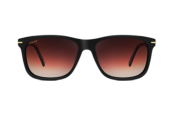 картинка Солнцезащитные очки Polar model Gold 114 col. 477 — Мои Очки