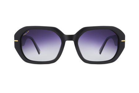 Oчки Polar model Gold 146 col. 77