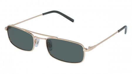 Oчки INVU s-T1013B