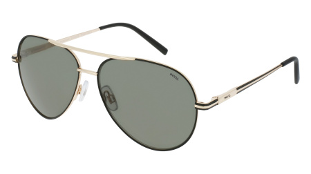 Oчки INVU s-B1202B