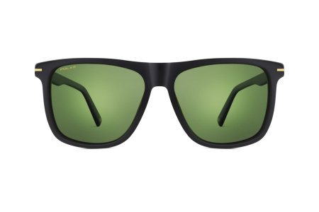 Очки Polar model Gold 144 col. 77/G