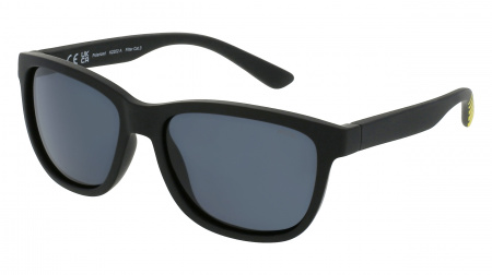 Oчки INVU дет. K2202A