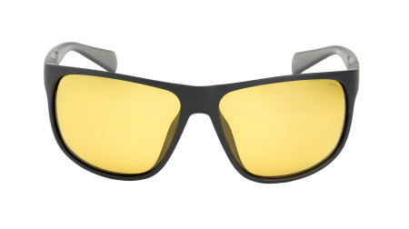 Солнцезащитные очки INVU A2308E с чехлом 20063