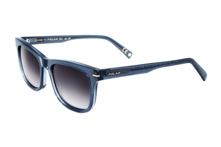 Oчки Polar model Gold 110 col. 27