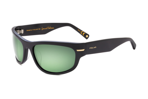 картинка Солнцезащитные очки Polar mod Gold Kronos col. 77/G — Мои Очки