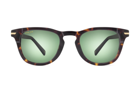 Солнцезащитные очки Polar  Gold Pegaso col. 428 Polarize PGPEG428