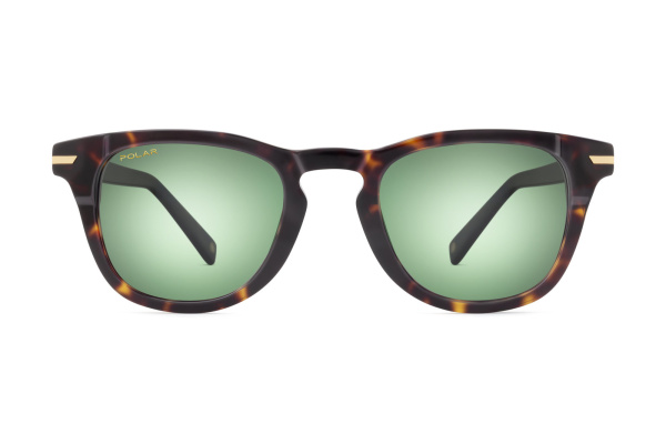 Солнцезащитные очки Polar mod Gold Pegaso col. 428