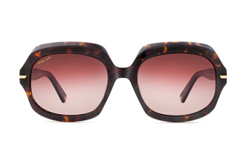 картинка Солнцезащитные очки Polar model Gold Sirya col. 428 — Мои Очки