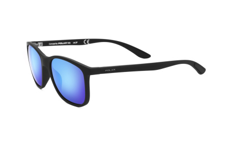 Очки Polar model 361 col. 80/C