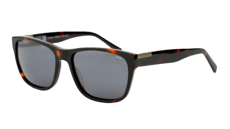 Солнцезащитные очки INVU IP22608B с чехлом 20201