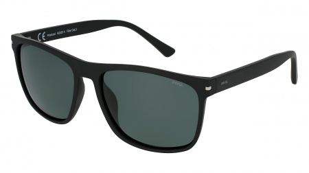 Oчки INVU s-B2025A