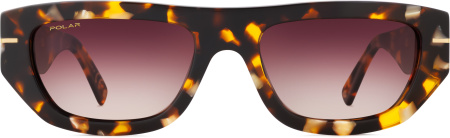 Солнцезащитные очки Polar model Gold Armin col. 428