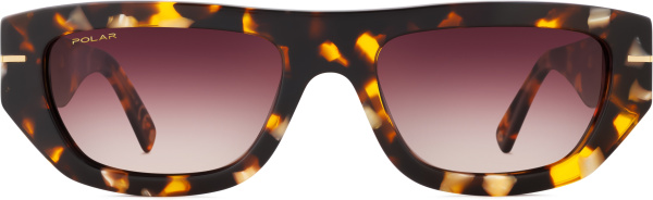 Солнцезащитные очки Polar model Gold Armin col. 428